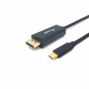 Kabel USB-C do DisplayPort Equip 13342607101 Szary 1 m