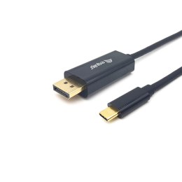 Kabel USB-C do DisplayPort Equip 13342607101 Szary 1 m