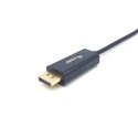 Kabel USB-C do DisplayPort Equip 13342607101 Szary 1 m