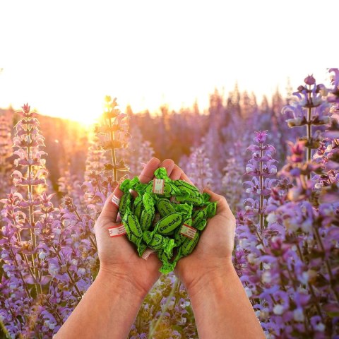 Em-eukal Klassisch Cukierki bez Cukru 75 g
