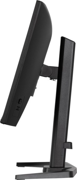 MONITOR IIYAMA LED Fast IPS 23,8