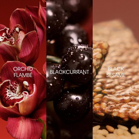 Perfumy Damskie Calvin Klein EUPHORIA 50 ml