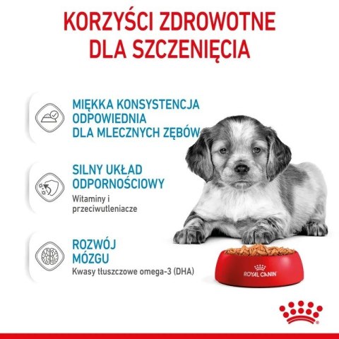 Karma ROYAL CANIN SHN Medium Puppy w sosie 10X140G