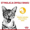 Karma Royal Canin Sensory Taste gravy 12x85g