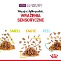 Karma Royal Canin Sensory Taste gravy 12x85g