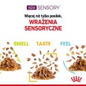 Karma Royal Canin Sensory Feel gravy 12x85g