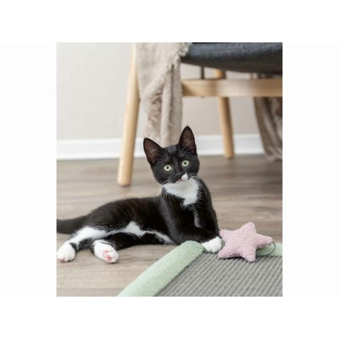 Drapak dla Kotów Trixie Junior Szary Mięta Poliester Włókno Sizalowe 47 x 47 cm