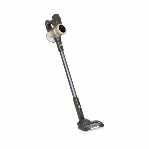 Odkurzacz Szczotka Princess 339395 300 W