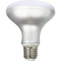 Żarówka LED Silver Electronics R90 E27 Biały Szary A++ 12 W (5000 K)