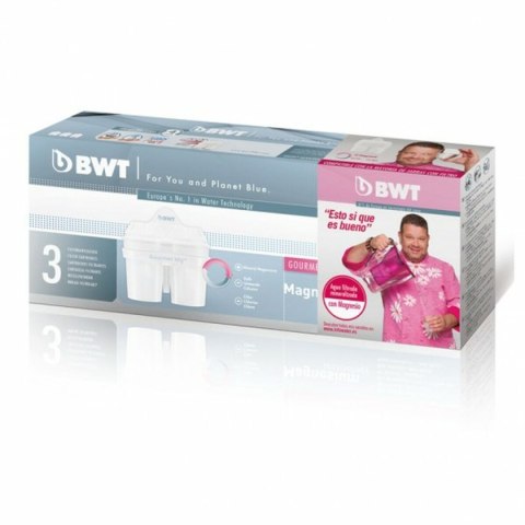 Filtr do Dzbanka Filtrującego BWT 814333 3 Części