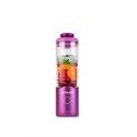 Mikser z Tworzywa Sztucznego Nutribullet NBP013GM Szary 600 ml