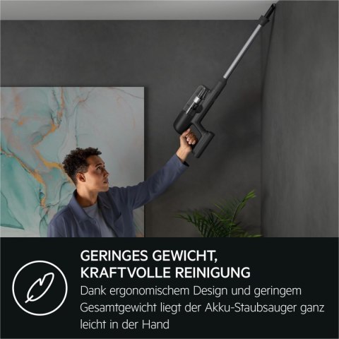 Odkurzacz Szczotka AEG AP71UB14GG 130 W