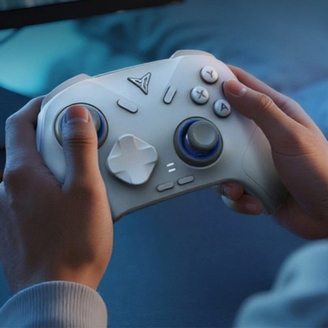 Uniwersalny kontroler do gier Bluetooth Flydigi DIREWOLF 4 biały