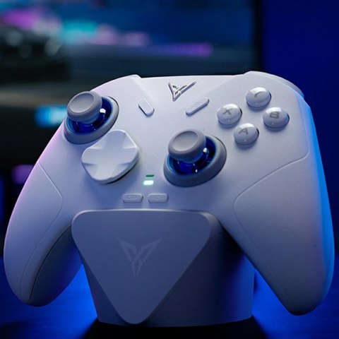 Uniwersalny kontroler do gier Bluetooth Flydigi DIREWOLF 4 biały