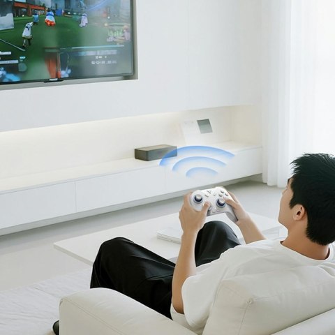 Uniwersalny kontroler do gier Bluetooth Flydigi DIREWOLF 4 biały