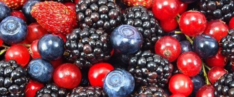 G&G Konfitura Extra Owoce Leśne 450 g