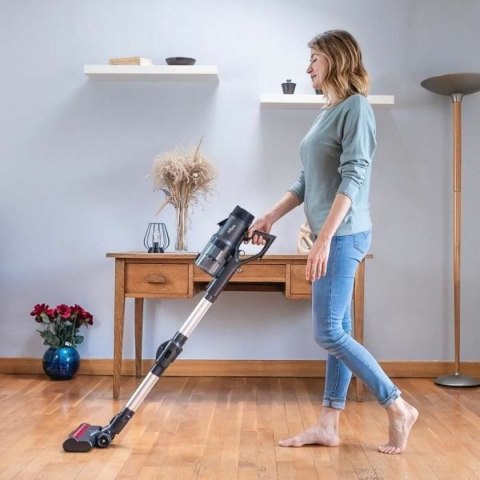 Odkurzacz Szczotka EZIclean 450 W
