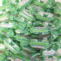 Woogie Ice Mints Cukierki Lodowe 170 g