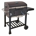 Grill Węglowy z Pokrywką i Kółkami Aktive 102 x 65 x 104 cm