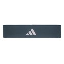 Elastyczne gumy oporowe Adidas ADTB-10711-2-NL Fiolet