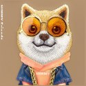 Etui Nimmy Glasses Cool Dog do Samsung Galaxy S26 Ultra beżowy