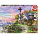 Układanka puzzle Educa 17740 1000 Części