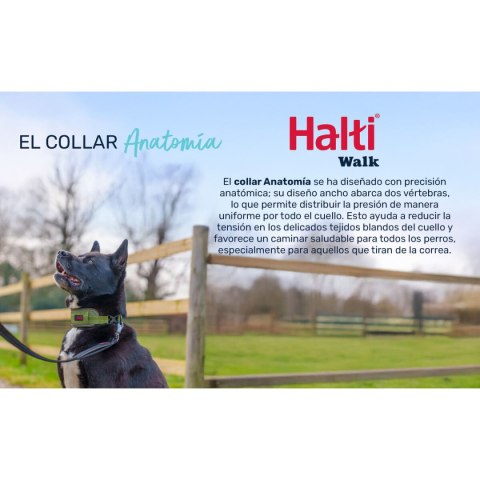 Obroża dla psa Company of Animals Kolor Zielony