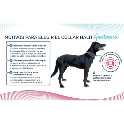 Obroża dla psa Company of Animals