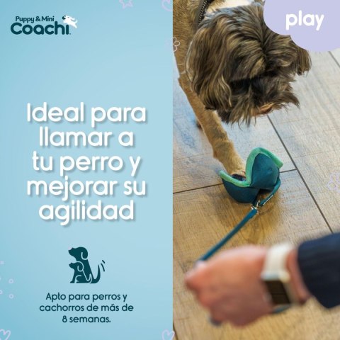 Szelki dla psa Coachi