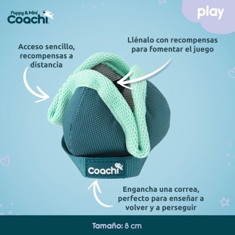 Szelki dla psa Coachi