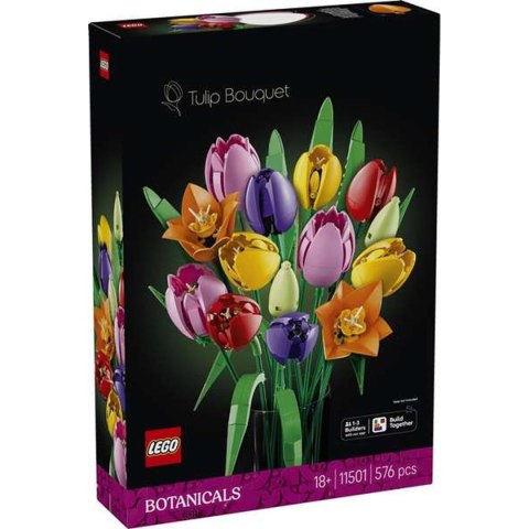 Zestaw do budowania Lego 11501