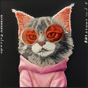 Etui Nimmy Glasses Cool Cat do iPhone 17 czarny