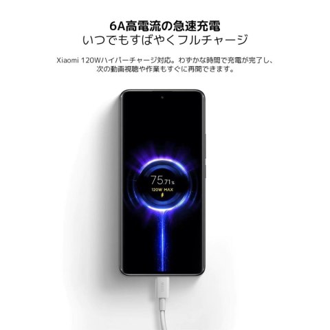 Kabel USB-C na USB-C Xiaomi BHR087KGL 1 m