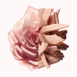 Perfumy Damskie Givenchy IRRESISTIBLE NUDE VELVET EDP 50 ml