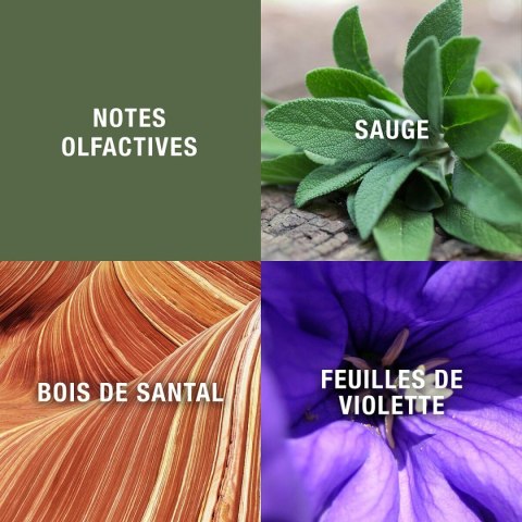 Perfumy Męskie Elisabeth Arden Grey Flannel EDT 240 ml