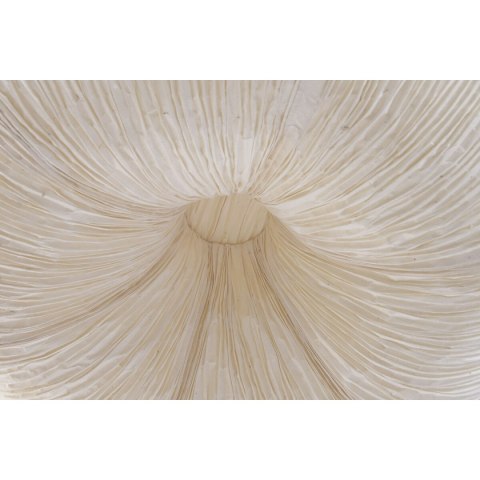 Lampa Sufitowa Home ESPRIT Papier Stal 55,5 X 55,5 X 28 CM