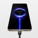 Kabel USB-C na USB-C Xiaomi BHR087AGL 2 m