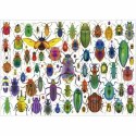 Układanka puzzle Educa Beetles 500 Części