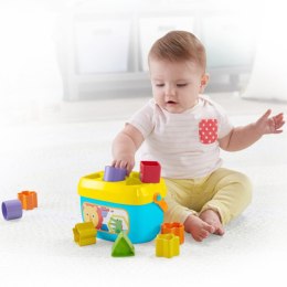 Kosz z Klockami Fisher-Price FFC84 5 Części 10 Części