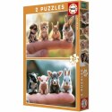 Układanka puzzle Educa Baby Animals 2 x 20 (2 Sztuk)
