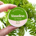 Vaseline Lip Therapy Aloe Wazelina do Terapii Ust z Kojącym Aloesem 20 g