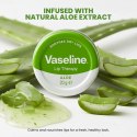 Vaseline Lip Therapy Aloe Wazelina do Terapii Ust z Kojącym Aloesem 20 g