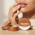 Vaseline Lip Therapy Cocoa Butter Wazelina do Terapii Ust z Masłem Kakaowym 20 g