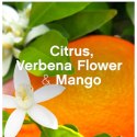 Lenor Energize Citrus &White Verbena Płyn do Płukania 42 prania