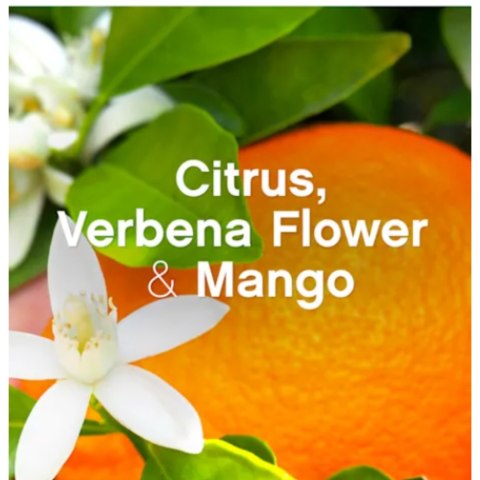 Lenor Energize Citrus &White Verbena Płyn do Płukania 42 prania