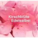 Lenor Kirschblüte & Edelsalbei Płyn do Płukania 59 prań DE
