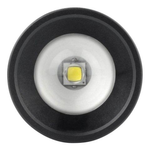 Ansmann M250F Czarny Latarka ręczna