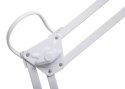 MAUL 8203602 lampa stołowa LED Biały