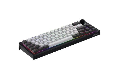 HATOR Skyfall Pro Wireless 65 klawiatura Gaming USB + RF Wireless + Bluetooth QWERTY US English Czarny, Szary