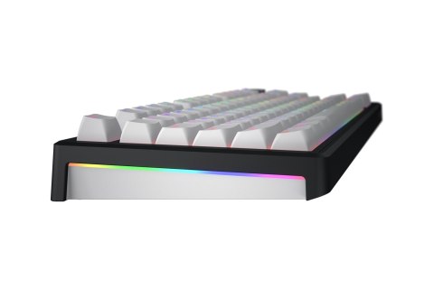 HATOR Skyfall Wireless 80 klawiatura Gaming USB + RF Wireless + Bluetooth QWERTY US English Czarny, Biały